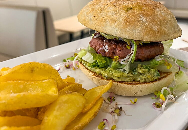 Ein lecker angerichteter Teller mit Salat